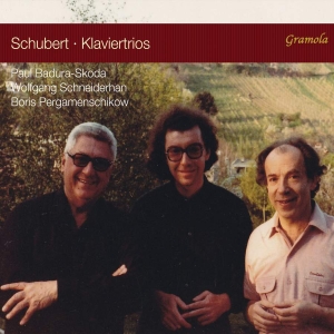Schubert Franz - Piano Trios i gruppen Externt_Lager / Naxoslager hos Bengans Skivbutik AB (3665994)