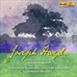 Haydn Joseph - Wallerstein Symphonies i gruppen CD hos Bengans Skivbutik AB (3666009)