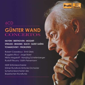 Various - Concertos (6 Cd) i gruppen Externt_Lager / Naxoslager hos Bengans Skivbutik AB (3666042)
