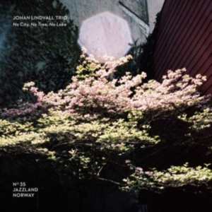 Lindvall Johan (Trio) - No City, No Tree, No Lake i gruppen ÖVRIGT / Övrigt / aub hos Bengans Skivbutik AB (3669277)