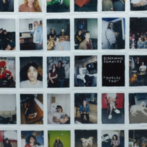 Screaming Females - Singles Too i gruppen ÖVRIGT / Övrigt / aub hos Bengans Skivbutik AB (3670174)