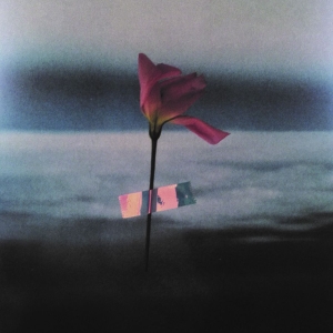 Samson Will - Paralanguage (Clear Vinyl) i gruppen VINYL / Pop-Rock hos Bengans Skivbutik AB (3672881)