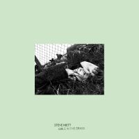 Steve Hiett - Girls In The Grass i gruppen VI TIPSAR / Startsida - Vinyl Nyheter & Kommande hos Bengans Skivbutik AB (3674934)
