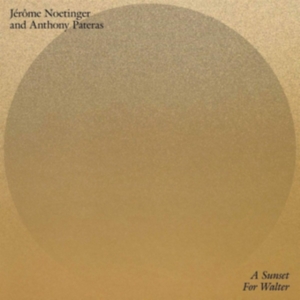 Noetinger Jérôme & Anthony Pateras - A Sunset For Walter i gruppen VINYL / Jazz/Blues hos Bengans Skivbutik AB (3675024)