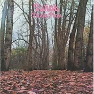Twink - Twink Pink i gruppen VINYL / Pop-Rock hos Bengans Skivbutik AB (3675562)
