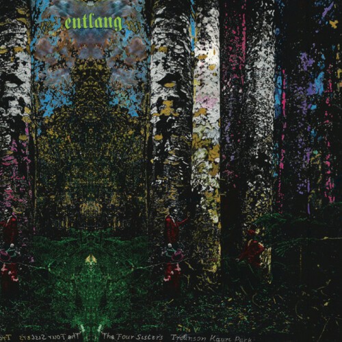 Entlang - The Four Sisters i gruppen VINYL / Rock hos Bengans Skivbutik AB (3677024)