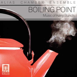 Bunch - Boiling Point i gruppen Externt_Lager / Naxoslager hos Bengans Skivbutik AB (3677216)