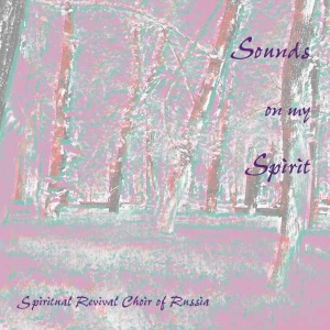 Various - Sounds On My Spirit i gruppen Externt_Lager / Naxoslager hos Bengans Skivbutik AB (3677539)