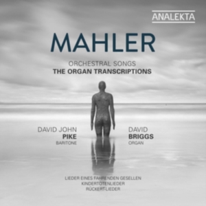 Mahler Gustav - Orchestral Songs - The Organ Transc i gruppen Externt_Lager / Naxoslager hos Bengans Skivbutik AB (3681738)