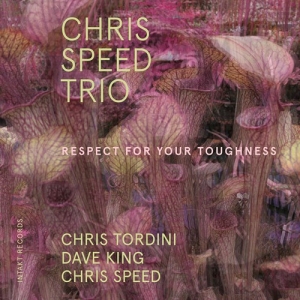 Chris Speed Trio - Respect For Your Toughness i gruppen Externt_Lager / Naxoslager hos Bengans Skivbutik AB (3681756)
