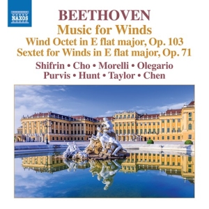 Beethoven Ludwig Van - Music For Winds i gruppen Externt_Lager / Naxoslager hos Bengans Skivbutik AB (3681816)