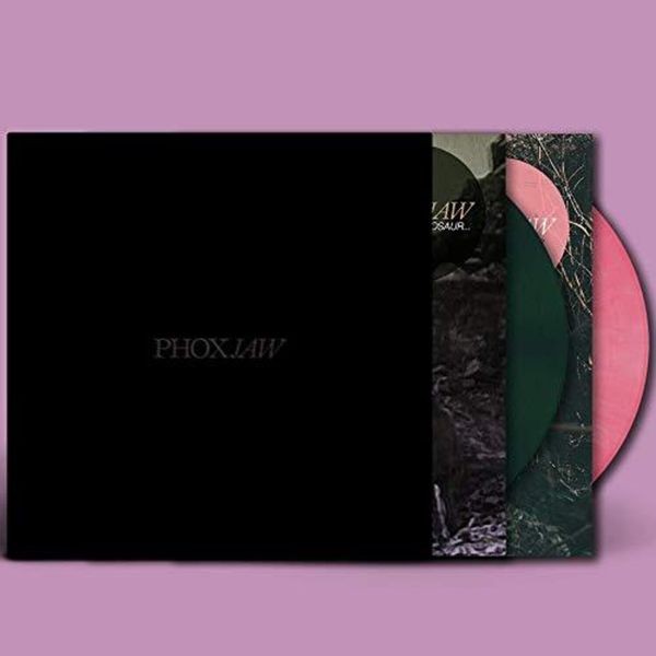 PHOXJAW - Goodbye Dinosaur/A Playgropund For i gruppen VINYL / Rock hos Bengans Skivbutik AB (3690405)