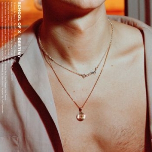 School Of X - Destiny i gruppen VINYL / Dance-Techno,Dansk Musik hos Bengans Skivbutik AB (3690821)