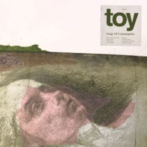 Toy - Songs Of Consumption i gruppen VINYL / Pop-Rock hos Bengans Skivbutik AB (3691568)