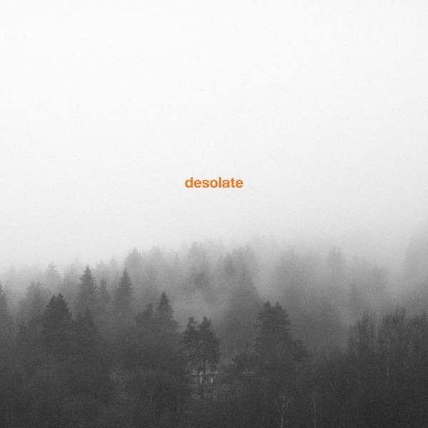 Desolate - Exceptionalism i gruppen VINYL / Pop hos Bengans Skivbutik AB (3691682)