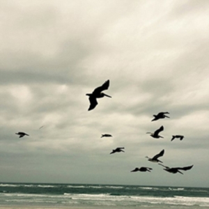 Berger Karl - In A Moment - Music For Piano And S i gruppen ÖVRIGT / Övrigt / aub hos Bengans Skivbutik AB (3694566)