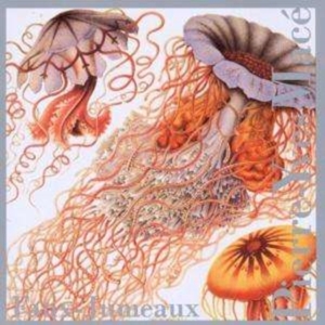 Mace Pierre-Yves - Faux-Jumeaux i gruppen ÖVRIGT / Övrigt / aub hos Bengans Skivbutik AB (3694662)