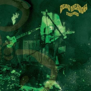 Dead Meadow - Feathers i gruppen CD / Rock hos Bengans Skivbutik AB (3694725)