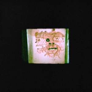 Orrick Chris & The Lasso - I Read That I Was Dead i gruppen ÖVRIGT / Övrigt / aub hos Bengans Skivbutik AB (3700894)