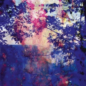 Butcher Roland - Viaje i gruppen ÖVRIGT / Övrigt / aub hos Bengans Skivbutik AB (3701129)