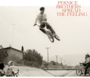 Pernice Brothers - Spread The Feeling i gruppen ÖVRIGT / Övrigt / aub hos Bengans Skivbutik AB (3701132)
