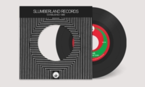 Lake Ruth - Extended Leave i gruppen ÖVRIGT / Övrigt / aub hos Bengans Skivbutik AB (3701143)