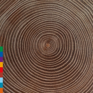 Ali Khan Amjad - Moksha i gruppen CD / Elektroniskt,Pop-Rock,World Music hos Bengans Skivbutik AB (3701150)