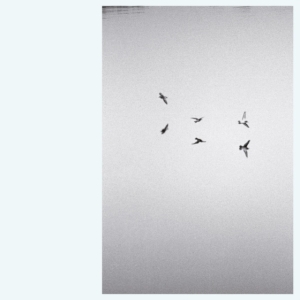 Barkley Kirk - Landscapes i gruppen ÖVRIGT / Övrigt / aub hos Bengans Skivbutik AB (3701174)