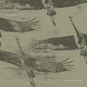 Ulf Lundell - Tranorna Kommer i gruppen CD / Pop-Rock hos Bengans Skivbutik AB (3702222)