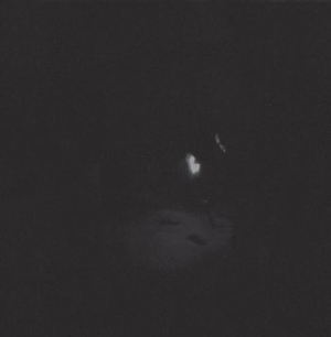 Paysage D'hiver - Nacht (2 Lp) i gruppen VINYL / Hårdrock hos Bengans Skivbutik AB (3702637)