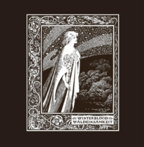 Winterblood - Waldeinsamkeit (2 Lp) i gruppen VINYL / Hårdrock hos Bengans Skivbutik AB (3702639)