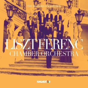 Various - The Masters Collection: Liszt Feren i gruppen CD / Klassiskt hos Bengans Skivbutik AB (3704002)