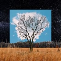 Fink - Bloom Innocent i gruppen CD / Pop-Rock hos Bengans Skivbutik AB (3704385)