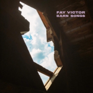 Victor Fay - Darn Songs i gruppen ÖVRIGT / Övrigt / aub hos Bengans Skivbutik AB (3704817)