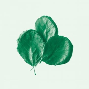 Alder Ego - Ii (Opaque White Vinyl) i gruppen VINYL / Jazz/Blues hos Bengans Skivbutik AB (3705818)