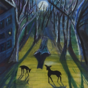 Quinn Donovan - Absalom i gruppen VINYL / Rock hos Bengans Skivbutik AB (3716994)