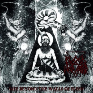 Black Mass Pervertor - Life Beyond The Walls Of Flesh i gruppen VINYL / Hårdrock hos Bengans Skivbutik AB (3717802)