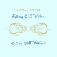 Karma Moffett - Sitting Still Within Sitting Still i gruppen VINYL / Rock hos Bengans Skivbutik AB (3723528)