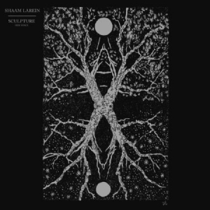 Larein Shaam - Sculpture i gruppen VINYL / Pop-Rock hos Bengans Skivbutik AB (3727038)