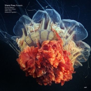 Silent Fires - Forests i gruppen CD / Jazz hos Bengans Skivbutik AB (3727042)