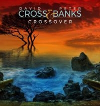Cross David And Peter Banks - Crossover i gruppen CD / Pop-Rock hos Bengans Skivbutik AB (3727106)