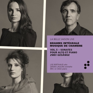 Brahms Johannes - Integrale Musique De Chambre - Sona i gruppen CD / Kommande / Klassiskt hos Bengans Skivbutik AB (3728693)