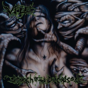 VILE - STENCH OF THE DECEASED i gruppen VINYL / Hårdrock hos Bengans Skivbutik AB (3728935)