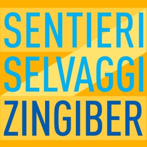 Various - Zingiber i gruppen Externt_Lager / Naxoslager hos Bengans Skivbutik AB (3729253)