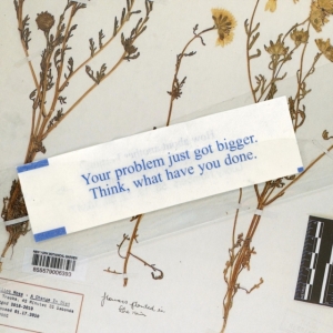 Moss Elliot - A Change In Diet i gruppen ÖVRIGT / Övrigt / aub hos Bengans Skivbutik AB (3729582)