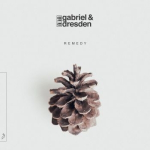 Gabriel & Dresden - Remedy i gruppen CD / Pop hos Bengans Skivbutik AB (3729786)