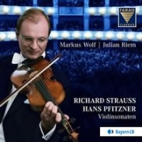 Strauss/Pfitzner - Violinsonaten i gruppen Externt_Lager / Naxoslager hos Bengans Skivbutik AB (3731549)