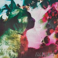 Pale Saints - The Comforts Of Madness (30Th Anniv i gruppen VINYL / Pop-Rock hos Bengans Skivbutik AB (3732106)