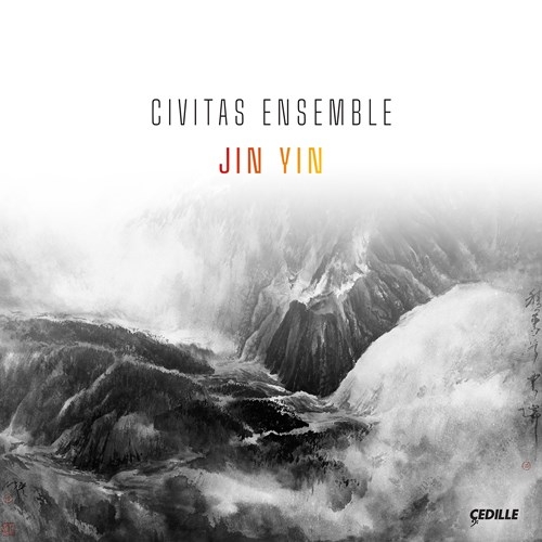 Various - Jin Yin i gruppen Externt_Lager / Naxoslager hos Bengans Skivbutik AB (3733815)