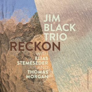 Jim Black Trio - Reckon i gruppen CD / Jazz hos Bengans Skivbutik AB (3733841)